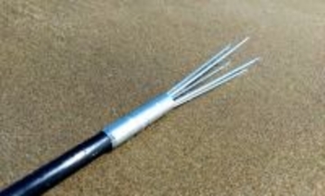 「スピアフィッシング」の人気が上昇中！　楽しいけど注意すべき点とは？