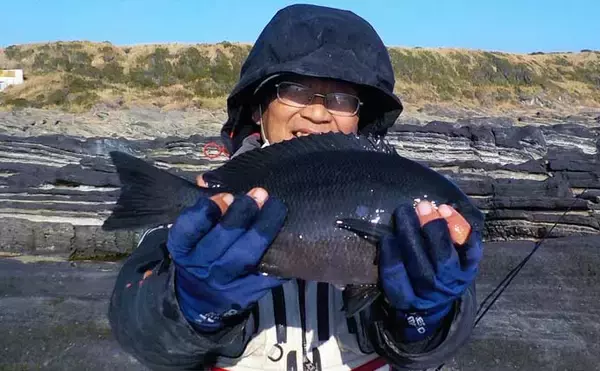 「城ヶ島の地磯でフカセ釣り堪能　夕マヅメに35cm級メジナが連発」の画像