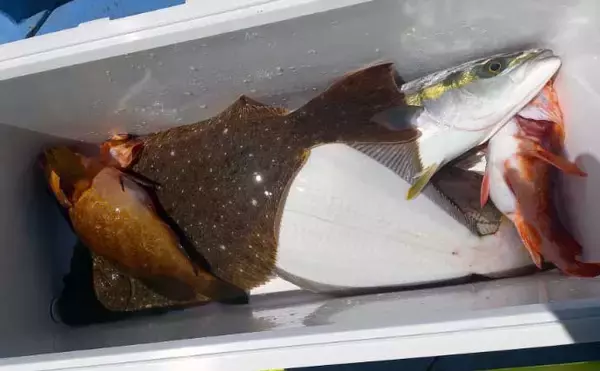 「【釣果速報】ルアーマゴチ便で船中全員安打！ワインド釣法が有効（三重）」の画像