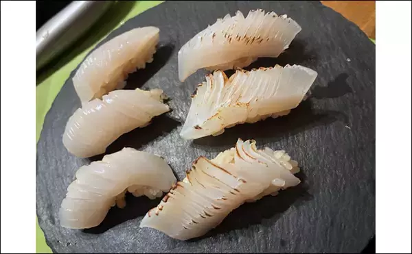 「エギングでモンゴウイカ2杯を手中【熊本】爆風のなか新地開拓が奏功」の画像