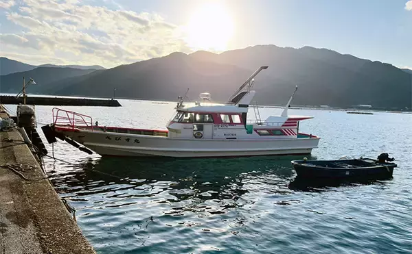 「磯フカセ釣りで50cm級良型真鯛が連発！【大分】本命クロにイサキにオオモンハタと多彩釣果」の画像