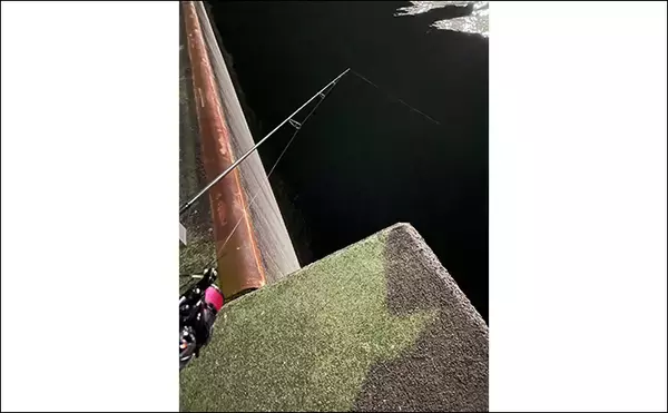 「「集中力が切れると大型魚が釣れる？」 狙うとなぜか釣れない釣りアルアル」の画像