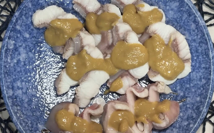 陸に揚げても7日間生きるという『ナヌカザメ』を食べてみた　味はまるでスルメイカ？