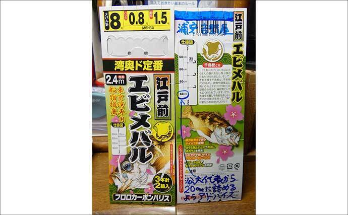 春告魚『クロメバル』を狙うエビメバル釣り入門【東京湾】活モエビの付け方と誘い方を解説