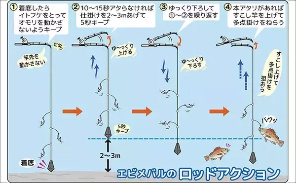 「春告魚『クロメバル』を狙うエビメバル釣り入門【東京湾】活モエビの付け方と誘い方を解説」の画像