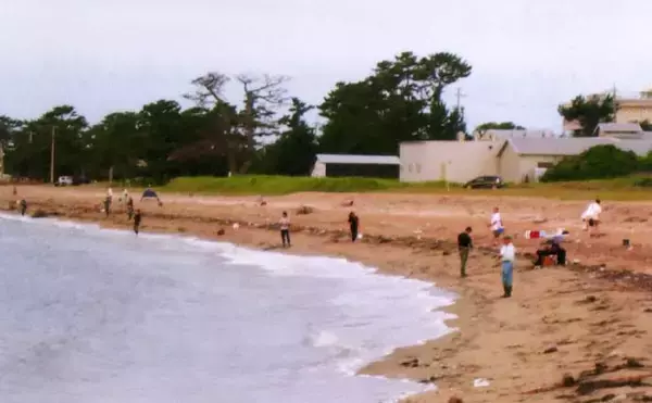 「三重・釣り桟橋でのチョイ投げ釣りでキス12匹　引き釣りで狙うのが吉」の画像