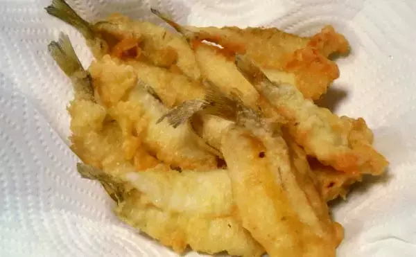 「三重・釣り桟橋でのチョイ投げ釣りでキス12匹　引き釣りで狙うのが吉」の画像