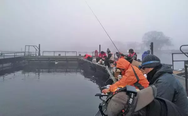 「桟橋ワカサギ釣りで426匹【滋賀・余呉湖】ノベザオ利用で手返しアップ」の画像