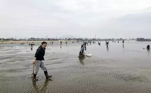 「「マテ貝にハマグリにシオフキ！」御殿場海岸での潮干狩りで3種の貝の採集に成功【三重】」の画像