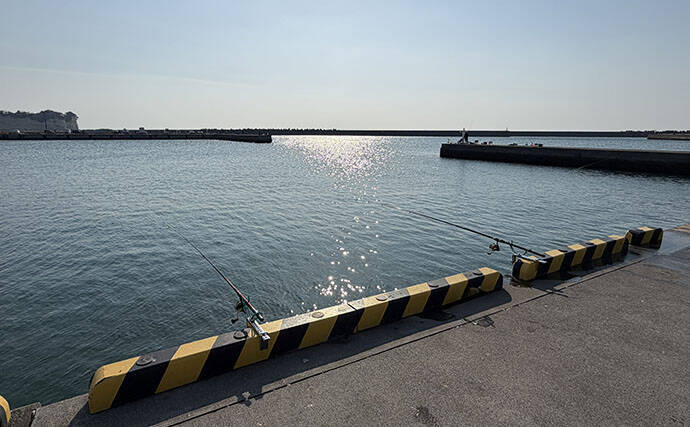 「えっ！休日って魚を釣りにくいの？」 平日釣行の圧倒的なメリット3選