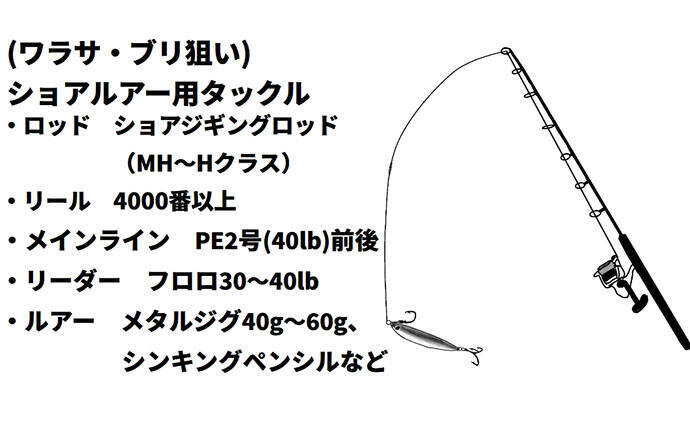 「陸からブリ！」上越ショアジギングで青物を釣る方法【シーズン・条件・タックル・ルアー】