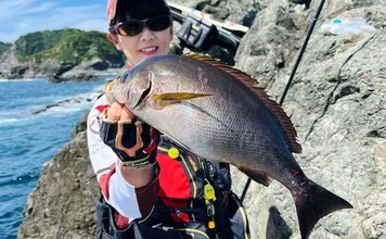 「脂ノリノリ！」磯フカセ釣りで40cm超え大型イサキ浮上【ふかしま丸・大分】クロも連発