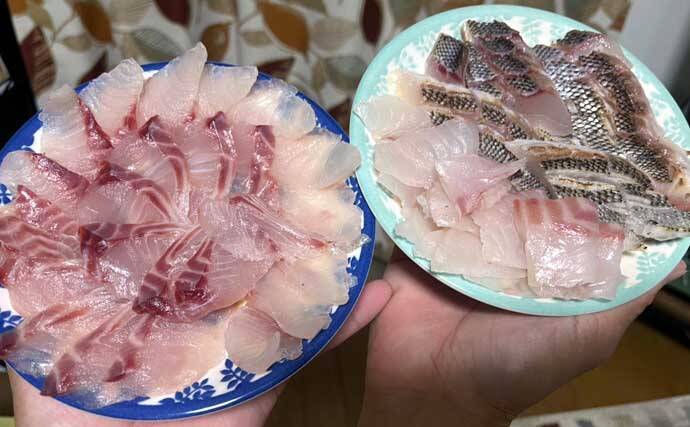「脂ノリノリ！」磯フカセ釣りで40cm超え大型イサキ浮上【ふかしま丸・大分】クロも連発
