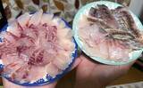 「「脂ノリノリ！」磯フカセ釣りで40cm超え大型イサキ浮上【ふかしま丸・大分】クロも連発」の画像13