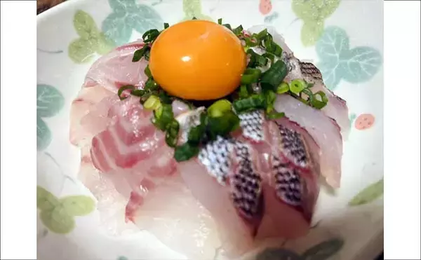 「「脂ノリノリ！」磯フカセ釣りで40cm超え大型イサキ浮上【ふかしま丸・大分】クロも連発」の画像