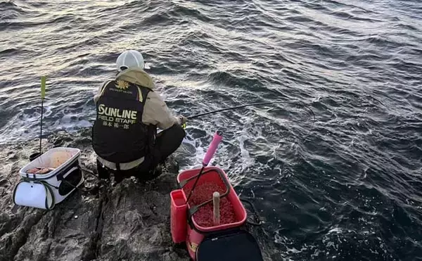 「「脂ノリノリ！」磯フカセ釣りで40cm超え大型イサキ浮上【ふかしま丸・大分】クロも連発」の画像