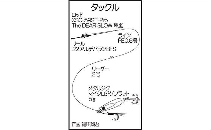 メタルジグで大型シロギスを狙ってみた【佐賀】着底と同時に27.5cmでかキスがヒット！
