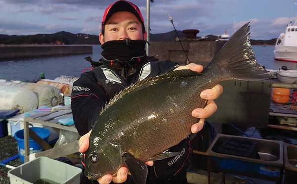 メジナ グレ 狙いフカセ釣り入門 シーズン毎まきエサ選び方 作り方 22年4月6日 エキサイトニュース