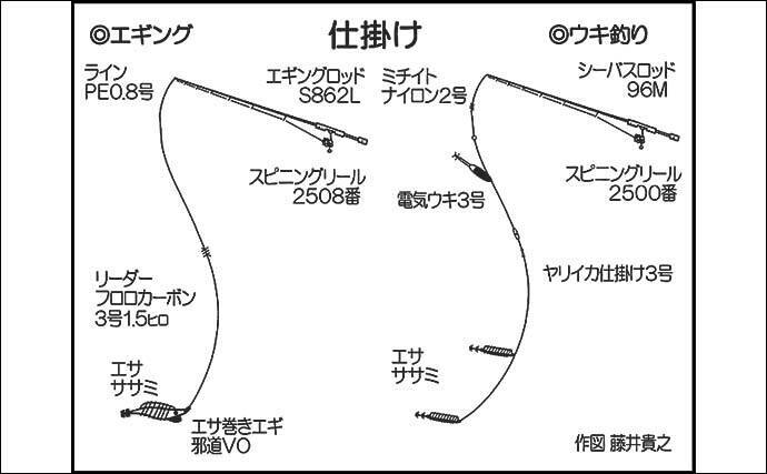 陸っぱりヤリイカエギング釣行で良型中心に30尾と好釣【山口・青海島】