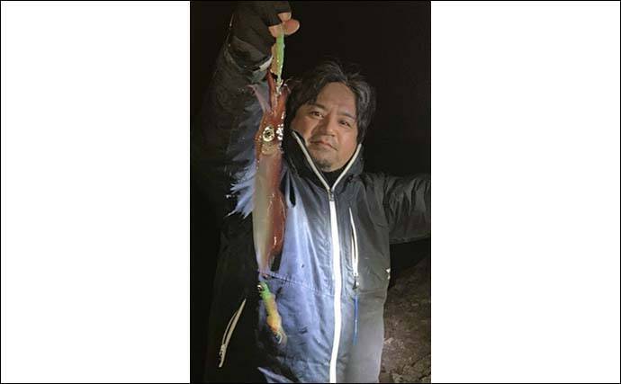 陸っぱりヤリイカエギング釣行で良型中心に30尾と好釣【山口・青海島】