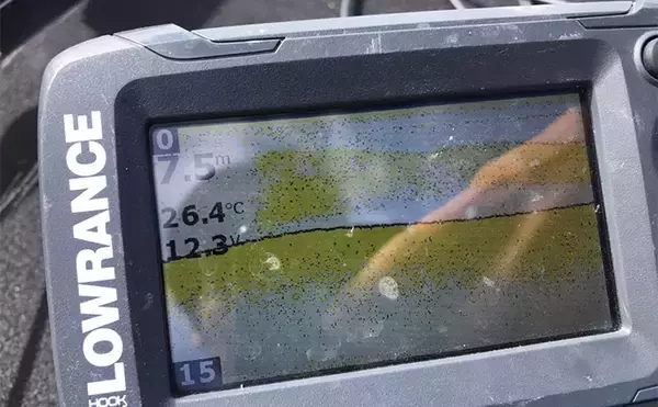 「解禁初日のワカサギ釣りで80匹以上【山梨・山中湖】バス釣りタックルで挑戦」の画像