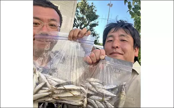 「琵琶湖北部の河川で小アユ釣りを満喫【滋賀】釣り初心者にも好ヒット」の画像
