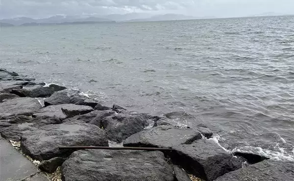 「「冷凍アサリ＋直リグ＝アサリグ」でアタリ連発！【静岡】チヌにへダイをキャッチ成功」の画像