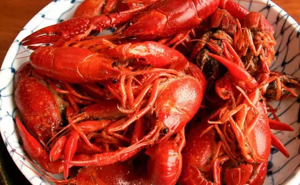 「外来種＜アメリカザリガニ＞を美味しく食べるためのポイント　米国や中国ではごちそう！」の画像