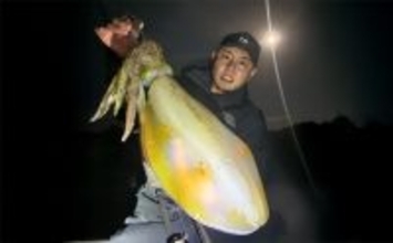 「満月の大潮はアオリイカが釣れる！」ショアのエギング釣行で1300g頭に良型が連発【山口】