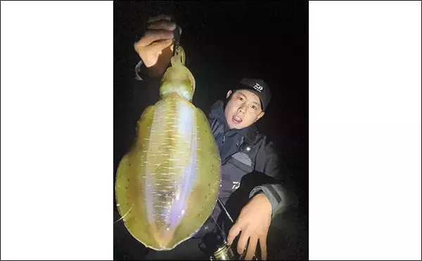 「「満月の大潮はアオリイカが釣れる！」ショアのエギング釣行で1300g頭に良型が連発【山口】」の画像