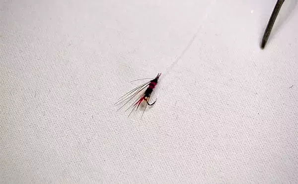 「釣りフェスで見つけた【異空間】ブースが神秘的すぎた　最新タックルよりも心に残ったものとは？」の画像