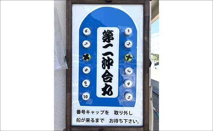 爆釣フィーバーの勝浦沖ヤリイカ釣りレポート【第二沖合丸】海の中はサバだらけ？