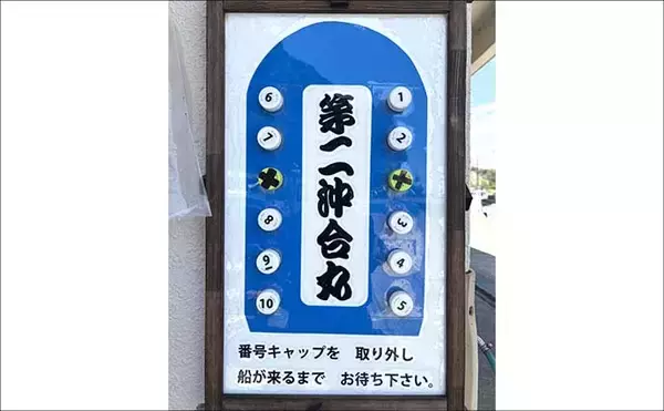 「爆釣フィーバーの勝浦沖ヤリイカ釣りレポート【第二沖合丸】海の中はサバだらけ？」の画像