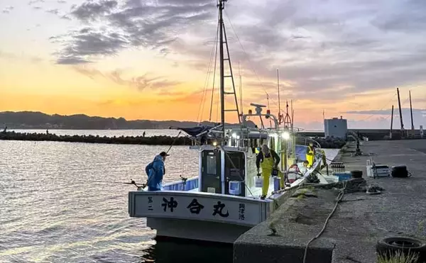 「爆釣フィーバーの勝浦沖ヤリイカ釣りレポート【第二沖合丸】海の中はサバだらけ？」の画像