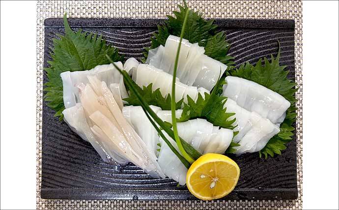 爆釣フィーバーの勝浦沖ヤリイカ釣りレポート【第二沖合丸】海の中はサバだらけ？