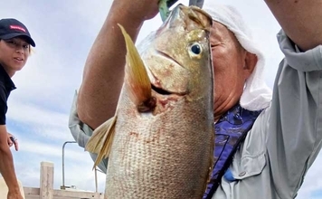 53cmモンスターイサキ！大分沖で良型イサキ続々【船釣り最新情報6選・大分／熊本】
