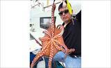 「53cmモンスターイサキ！大分沖で良型イサキ続々【船釣り最新情報6選・大分／熊本】」の画像7
