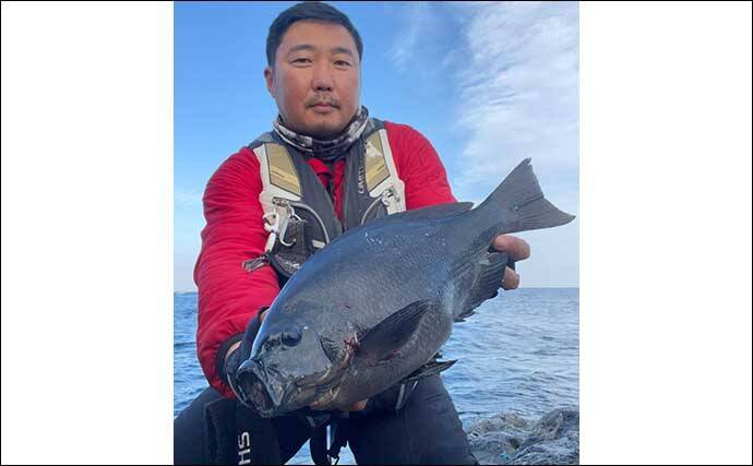 磯フカセ釣りで42cm頭にグレ5匹手中　不安定な水温を仕掛け調整で攻略