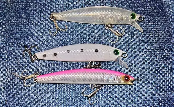 「バチ抜け初期のルアーシーバス釣行でセイゴ【千葉】バチよりベイトが元気か？」の画像