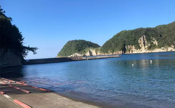 「カラフルな魚たちと出会う堤防五目釣り【西伊豆・岩地海岸】多種多様な魚を20匹キャッチ」の画像