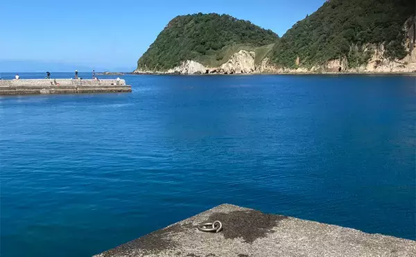 「カラフルな魚たちと出会う堤防五目釣り【西伊豆・岩地海岸】多種多様な魚を20匹キャッチ」の画像