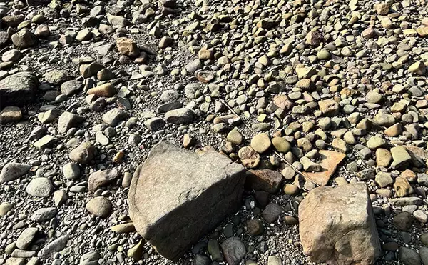 「不人気エリアのゴロタ浜でエギングしてみた【熊本】まさかのコウイカ連発に大満足」の画像