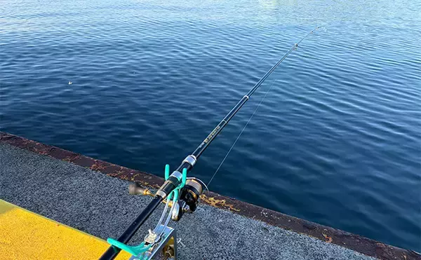 「海釣り初心者の女性アングラーが「実際に買って大満足した」釣り竿とリールを紹介」の画像