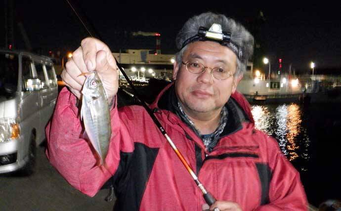 これから始めるアジング講座：失敗しないタックル・ライン・操作の基礎をやさしく解説