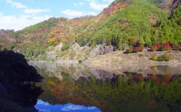 「陸から狙う青土ダム湖のワカサギ釣り【滋賀県】本命44匹にスゴモロコ＆シラハエもヒット」の画像