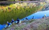 「陸から狙う青土ダム湖のワカサギ釣り【滋賀県】本命44匹にスゴモロコ＆シラハエもヒット」の画像5