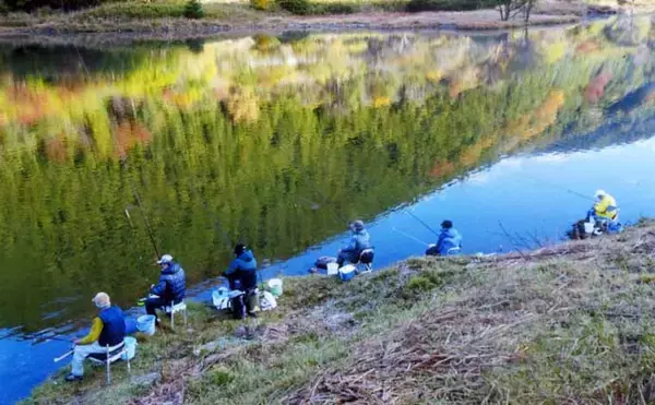 「陸から狙う青土ダム湖のワカサギ釣り【滋賀県】本命44匹にスゴモロコ＆シラハエもヒット」の画像