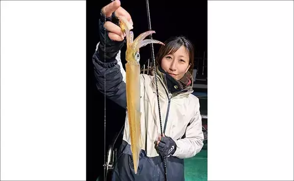 「夜のイカメタル釣行でササイカ（ヤリイカ）120尾と大爆釣！【山口・剛龍丸】」の画像
