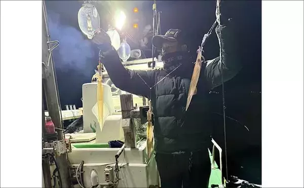 「夜のイカメタル釣行でササイカ（ヤリイカ）120尾と大爆釣！【山口・剛龍丸】」の画像
