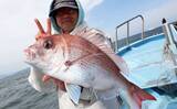 「「3kg級シマアジ連打！」金洲五目釣りが好調【船釣り釣果速報14選・愛知／静岡】」の画像10